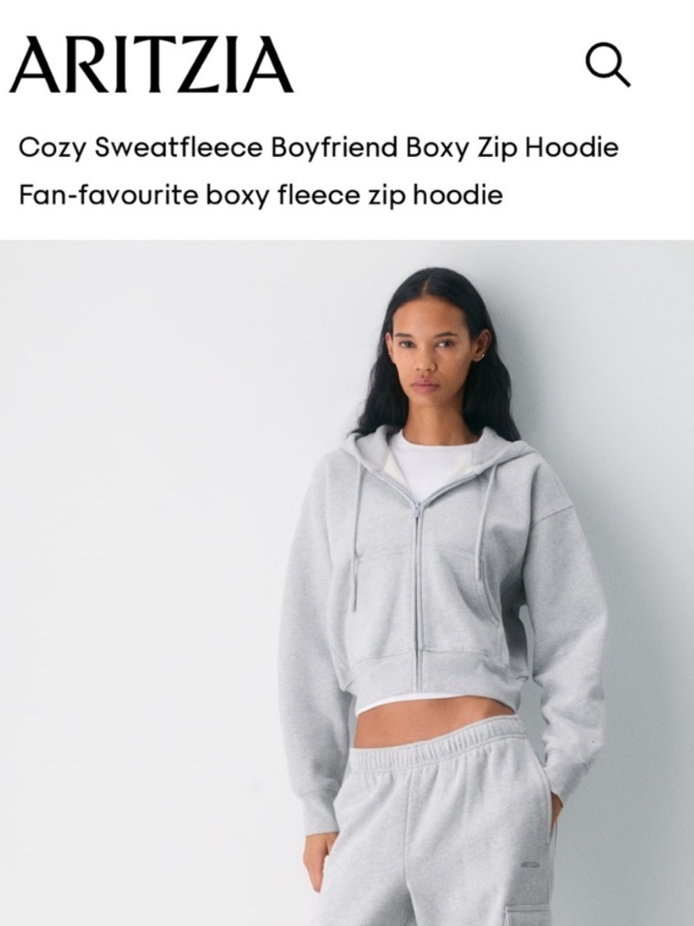 Tna Sz XXS Cozy Sweatfleece Boyfriend Boxy Zip Hoodie in Light Grey Aritzia